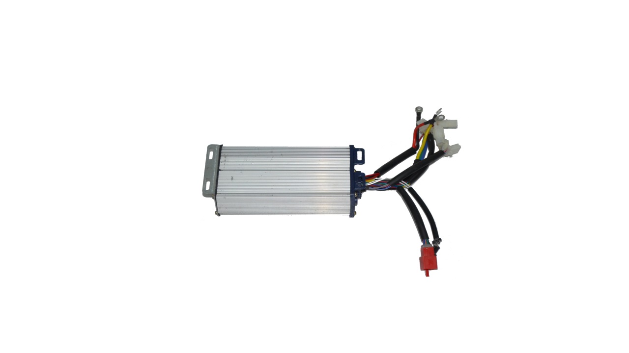 BEYİN (GERİ DÖNÜŞÜM) ( GAZELLE )